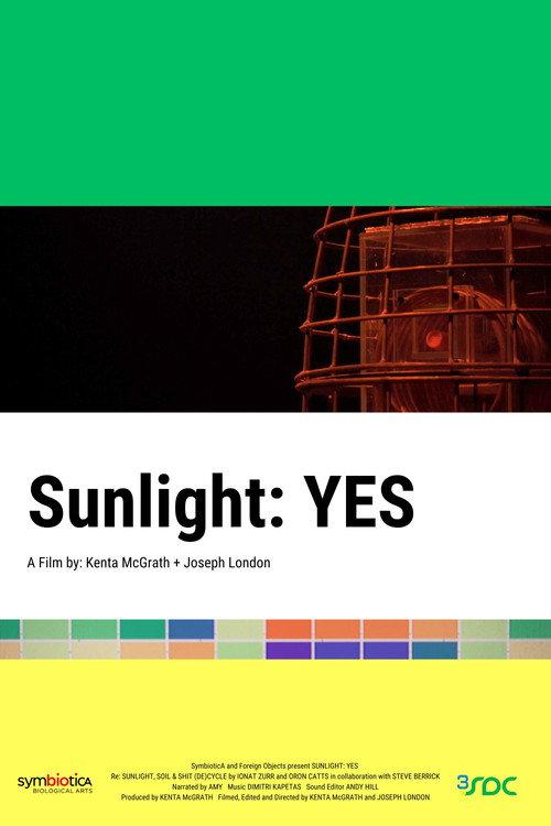 Sunlight: YES 2025 official movie poster