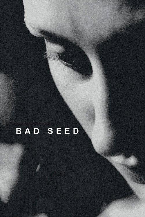 Bad Seed 2024 official movie poster