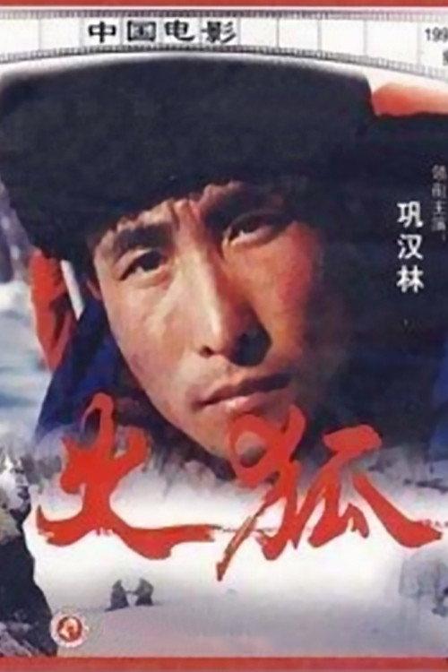 Sparkling Fox 1994 official movie poster