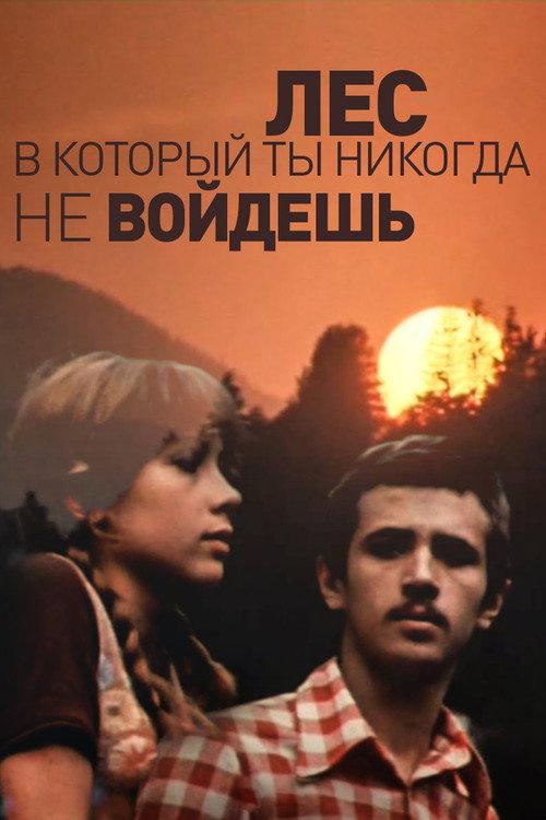 The Forest You'll Never Enter 1978 official movie poster