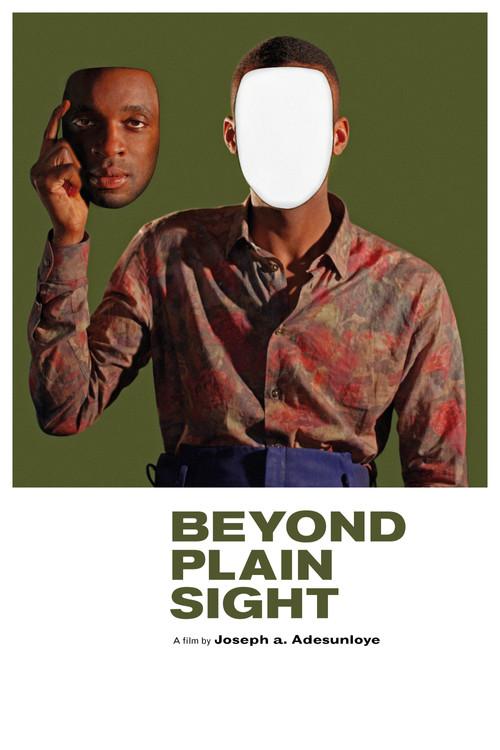 Beyond Plain Sight 2014 official movie poster