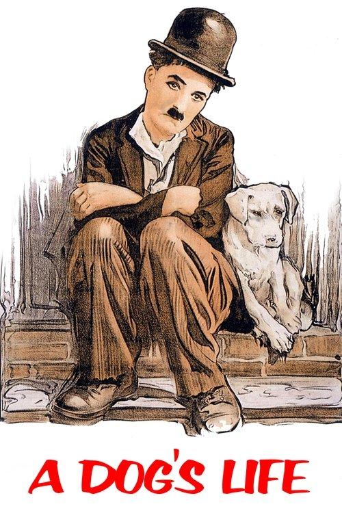 A Dog's Life 1918 official movie poster