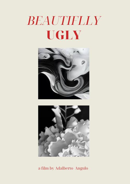 Beautifully Ugly 2024 official movie poster