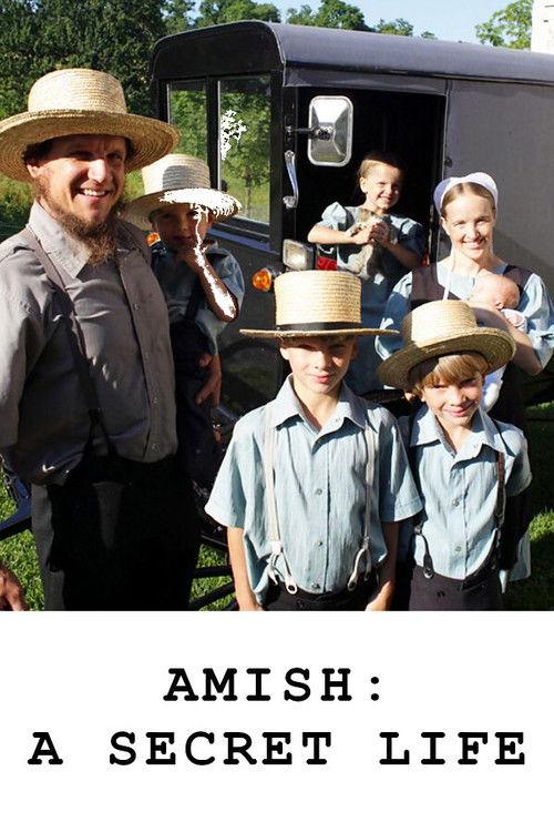 Amish: A Secret Life 2012 official movie poster