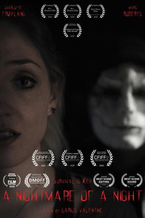 A Nightmare of a Night 2020 official movie poster