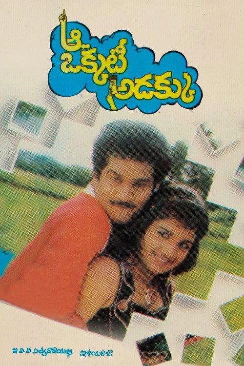 Aa Okkati Adakku 1992 official movie poster