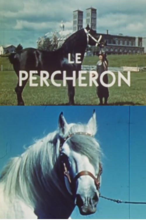 The Percheron 1946 official movie poster