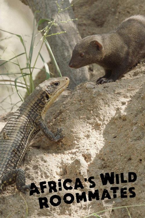 Africa's Wild Roommates: How Animals Share Bed and Board 2020 official movie poster