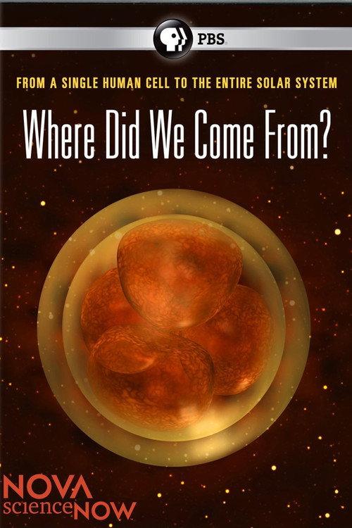 Where Did We Come From? 2011 official movie poster