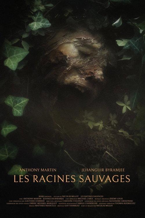 The Wild Roots 2022 official movie poster
