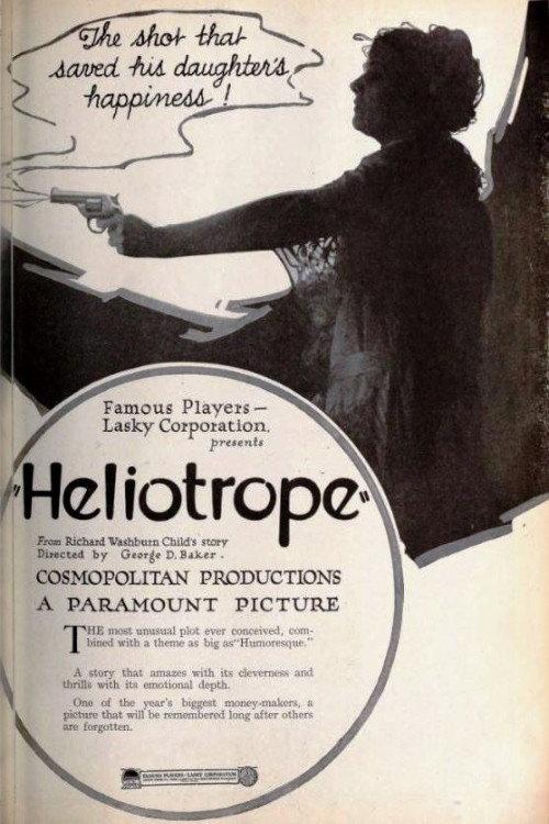 Heliotrope 1920 official movie poster