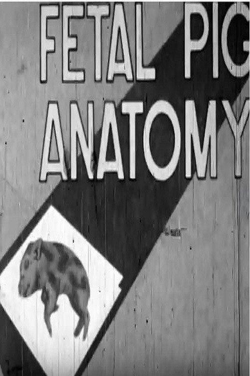 Fetal Pig Anatomy 1962 official movie poster