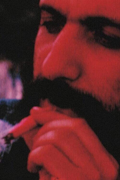 Aquarian Rushes 1970 official movie poster