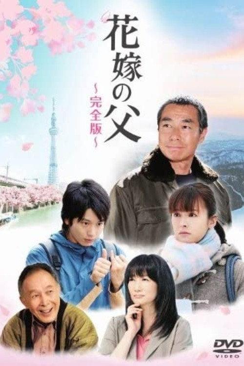Father of the Bride 2012 official movie poster
