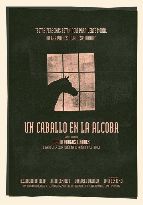 Un caballo en la alcoba 2024 official movie poster