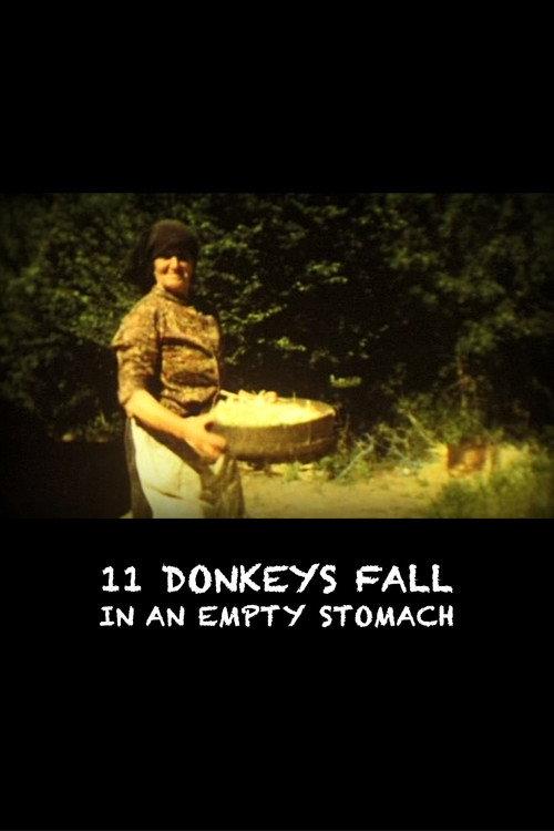 11 Donkeys Fall in an Empty Stomach 2006 official movie poster