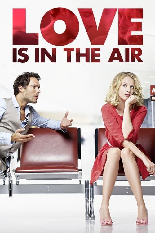 Love Is in the Air 2013 official movie poster