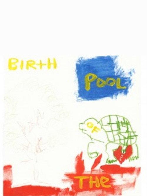 Birth of the Pool 2013 official movie poster