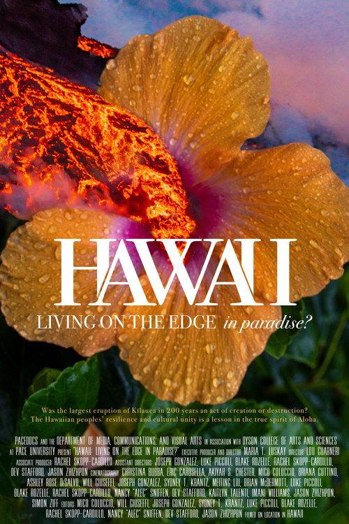 Hawaii: Living on the Edge in Paradise? 2019 official movie poster