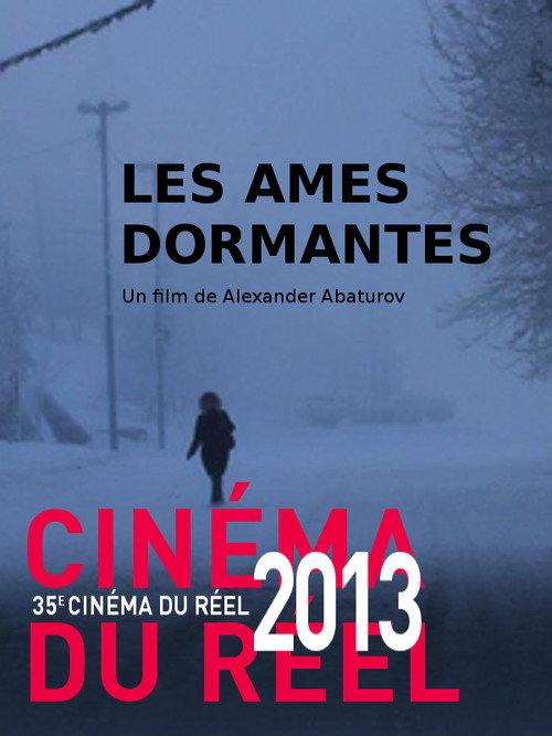 Sleeping Souls 2013 official movie poster