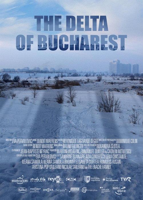 The Delta of Bucharest 2020 official movie poster