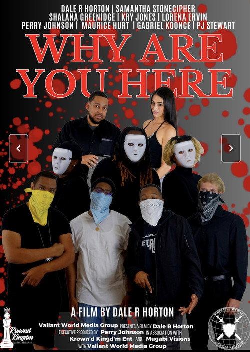Why Are You Here 2024 official movie poster