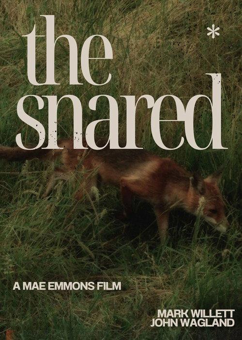 The Snared 2025 official movie poster