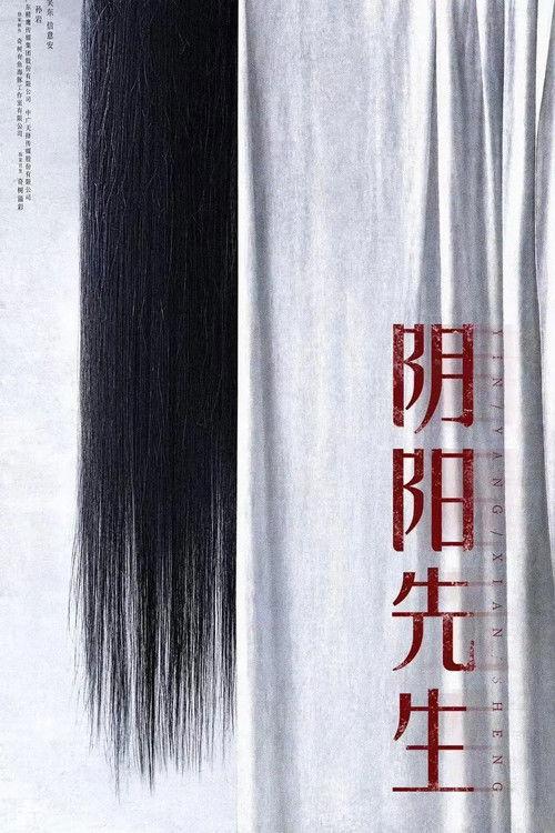 Mr Yin-Yang 2023 official movie poster