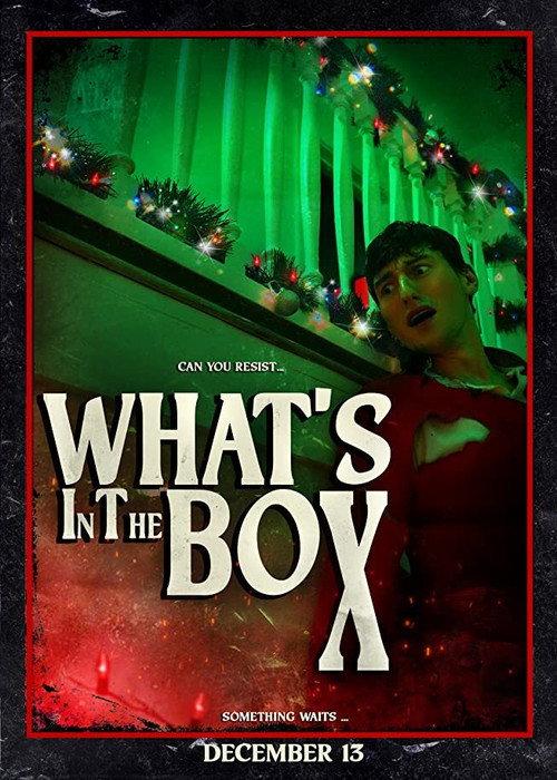 What's in the Box 2020 official movie poster