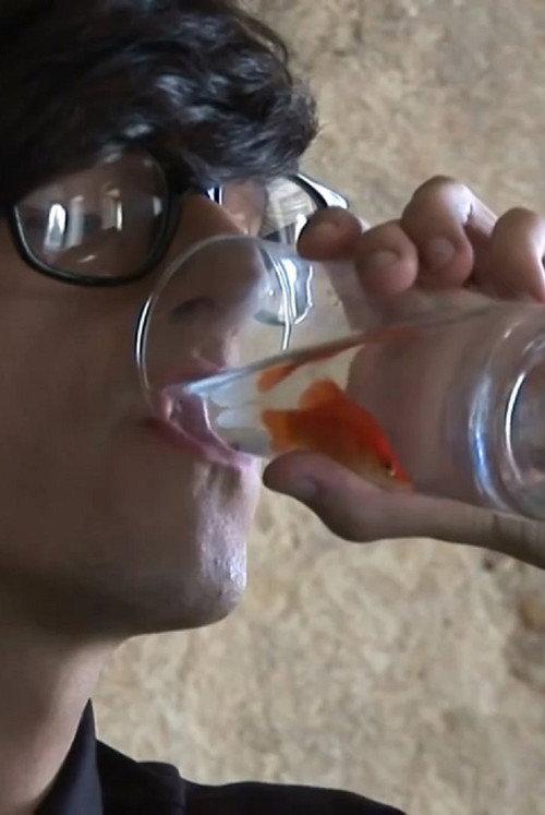 The State That I Am Fish 2011 official movie poster