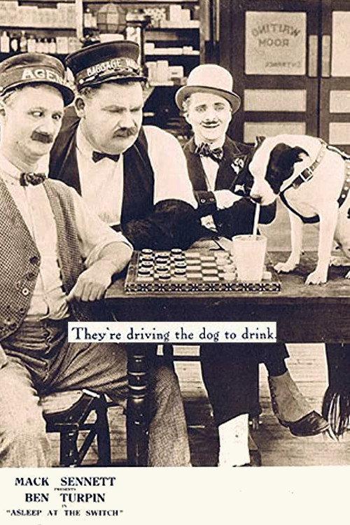 Asleep at the Switch 1923 official movie poster