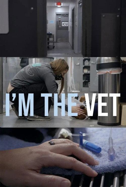 I'm the Vet 2022 official movie poster