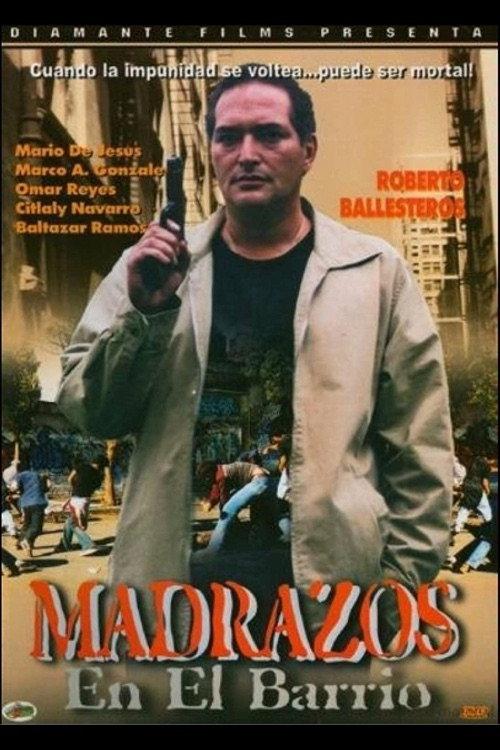 Madrazos En El Barrio 2006 official movie poster