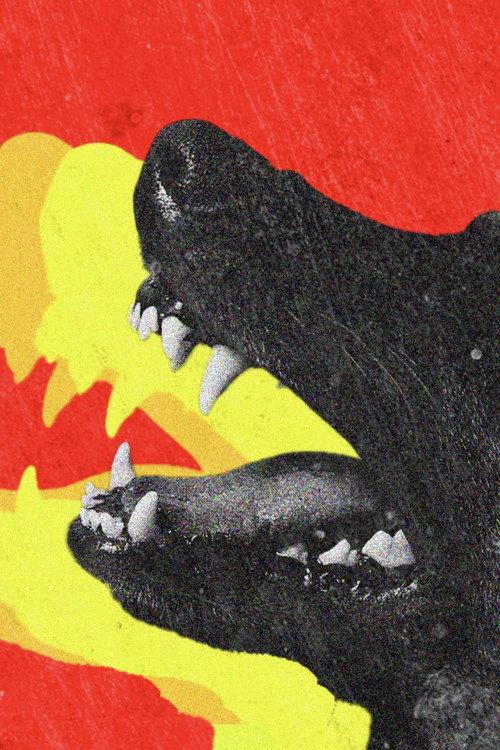 DOGTOOTH 2024 official movie poster