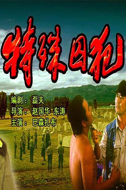 The Special Prisoner 1995 official movie poster