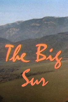 The Big Sur 1965 official movie poster