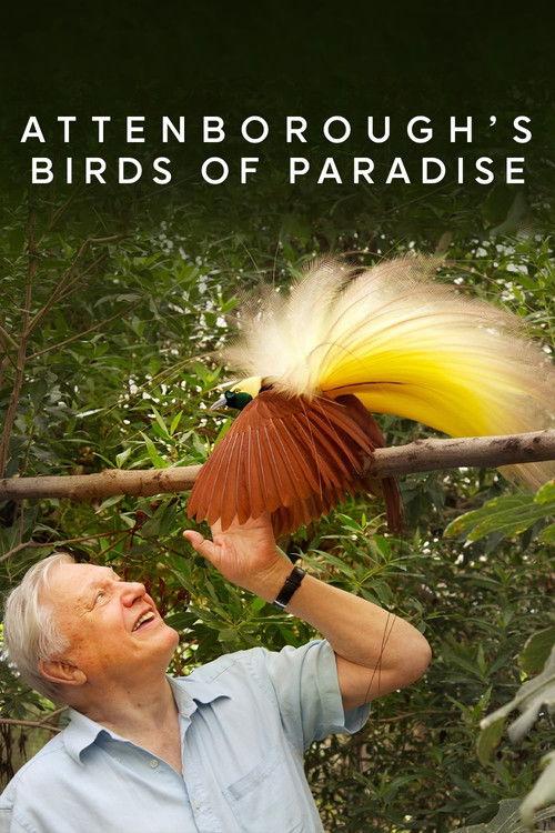 Birds of Paradise 2010 official movie poster