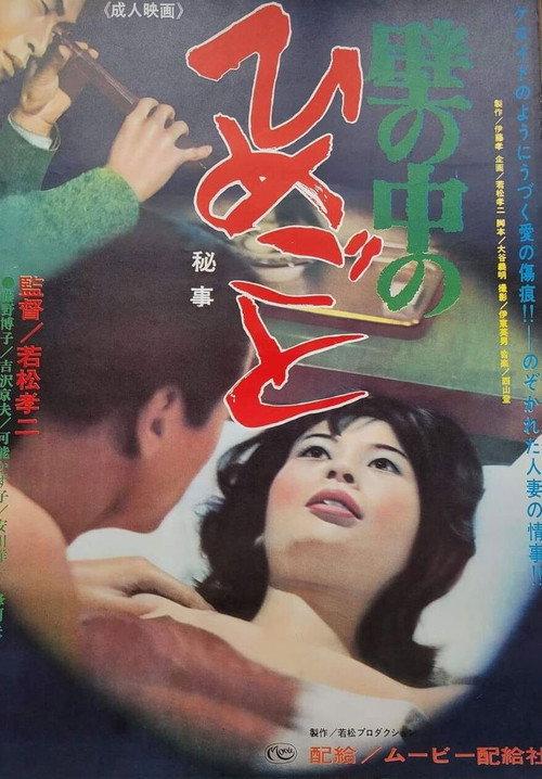 Secrets Behind the Wall 1965 official movie poster