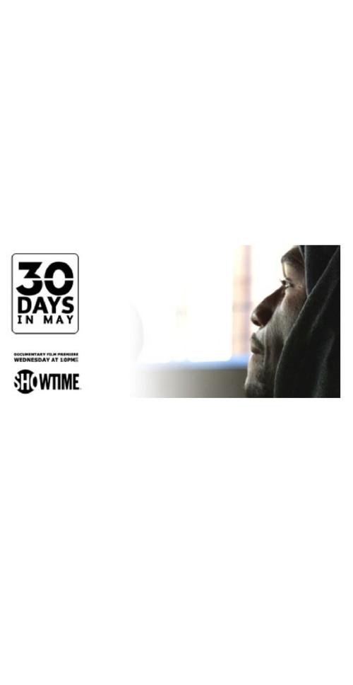 30 Days in May 2013 official movie poster
