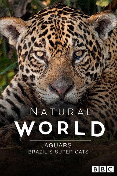 Jaguars: Brazil's Super Cats 2016 official movie poster