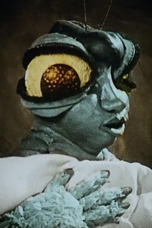 In the Spider's Grip 1920 official movie poster