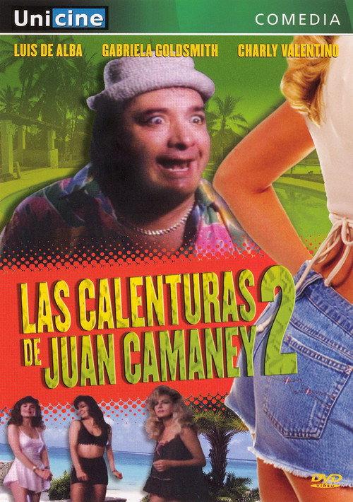 Las calenturas de Juan Camaney II 1989 official movie poster