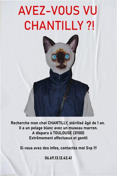 AVEZ-VOUS VU CHANTILLY ?! 2023 official movie poster