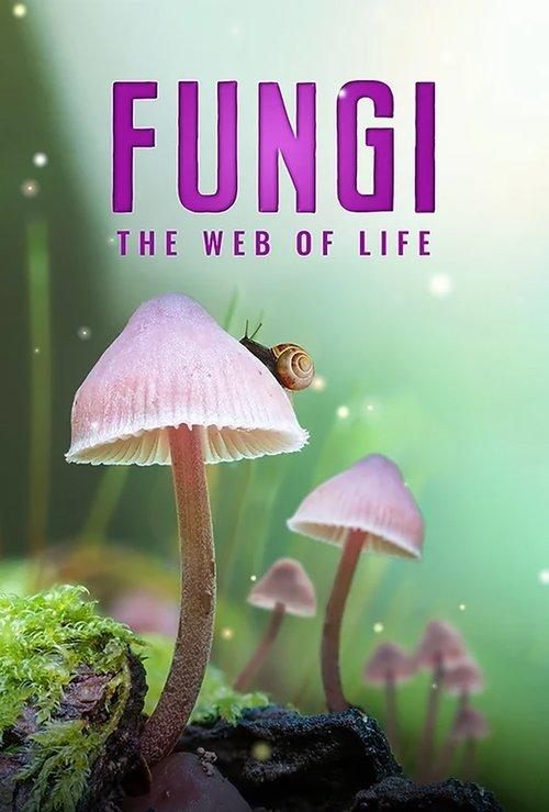 Fungi: The Web of Life 2023 official movie poster