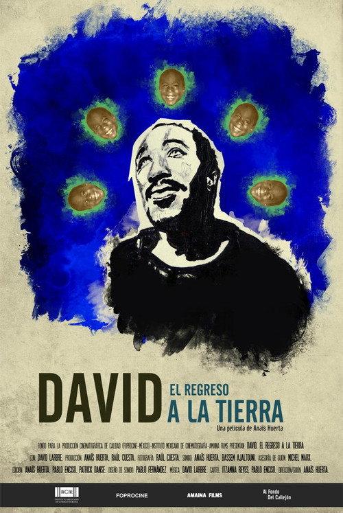 David. The Return to Land 2017 official movie poster