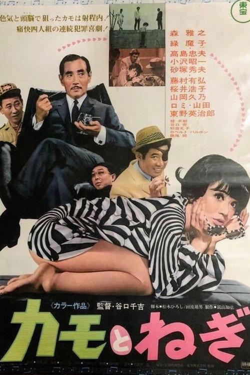 Wild Ducks and Green Onions 1968 official movie poster
