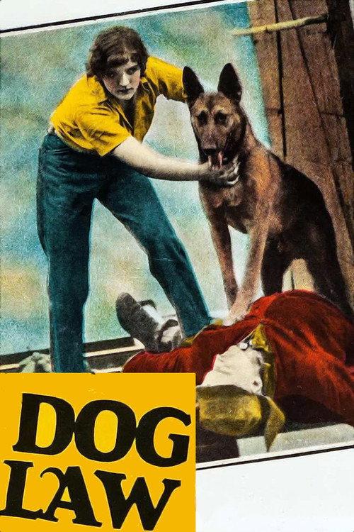 Dog Law 1928 official movie poster