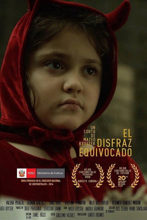 The Wrong Disguise 2016 official movie poster
