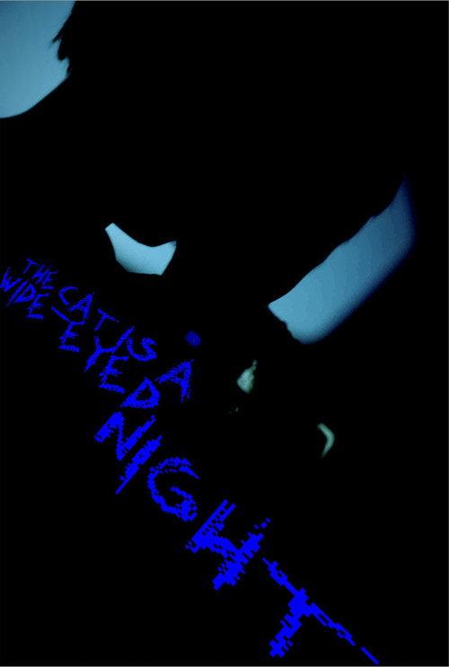 The Cat Is A Wide-Eyed Night 2026 official movie poster