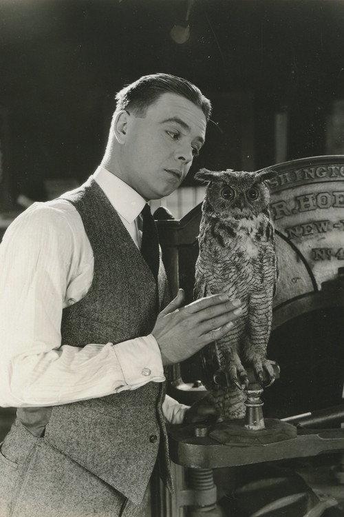 The Jailbird 1920 official movie poster